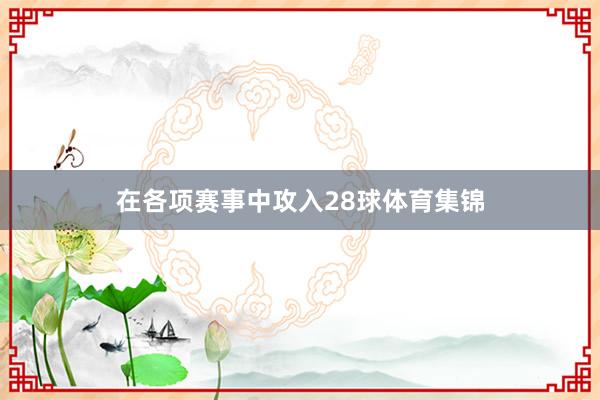 在各项赛事中攻入28球体育集锦