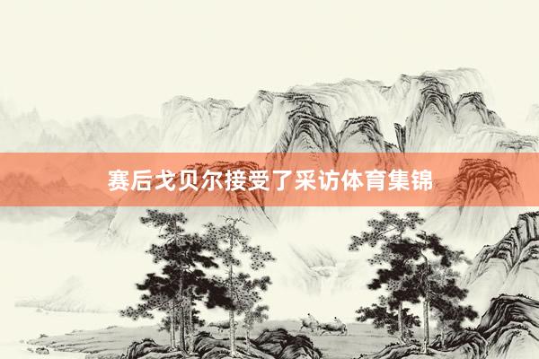 赛后戈贝尔接受了采访体育集锦