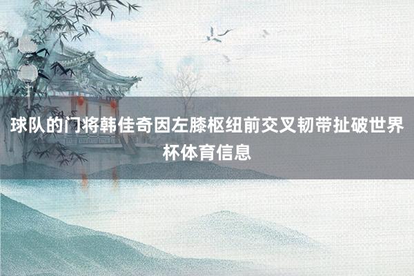 球队的门将韩佳奇因左膝枢纽前交叉韧带扯破世界杯体育信息