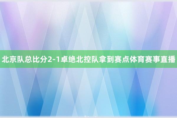 北京队总比分2-1卓绝北控队拿到赛点体育赛事直播