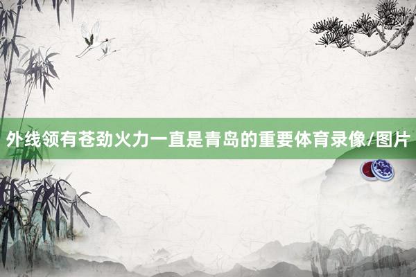 外线领有苍劲火力一直是青岛的重要体育录像/图片