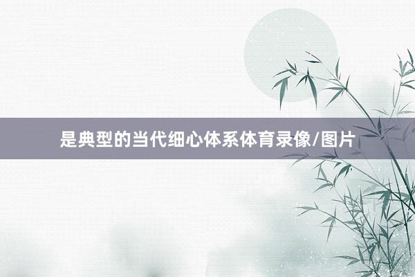 是典型的当代细心体系体育录像/图片