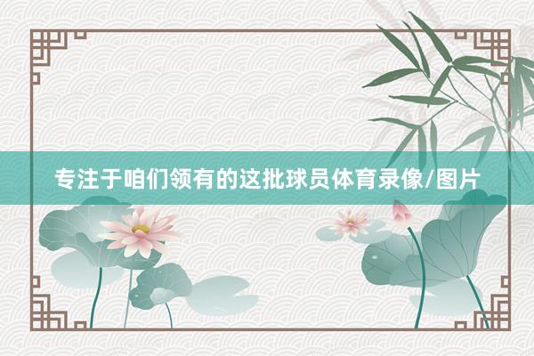 专注于咱们领有的这批球员体育录像/图片