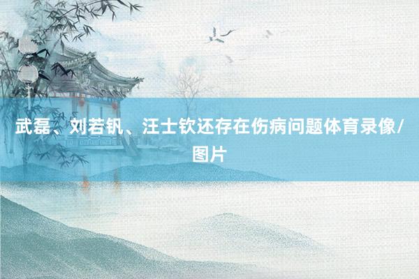 武磊、刘若钒、汪士钦还存在伤病问题体育录像/图片