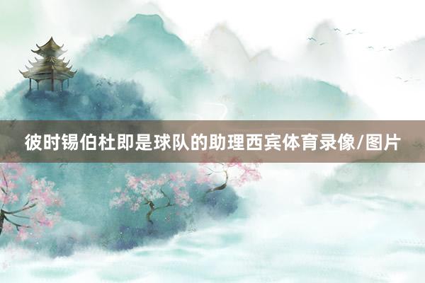 彼时锡伯杜即是球队的助理西宾体育录像/图片