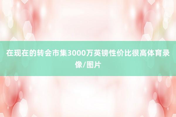 在现在的转会市集3000万英镑性价比很高体育录像/图片
