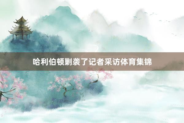 哈利伯顿剿袭了记者采访体育集锦