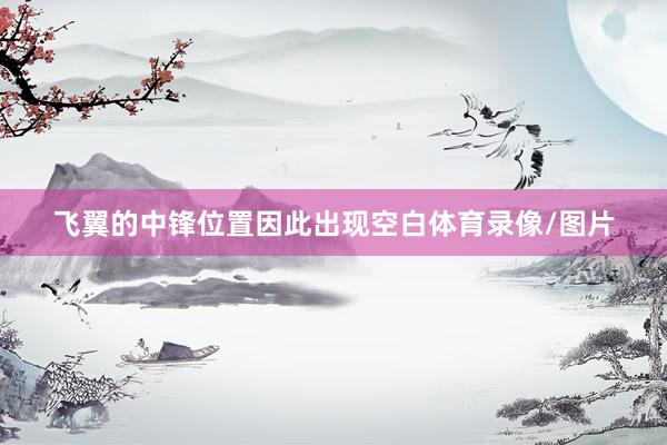 飞翼的中锋位置因此出现空白体育录像/图片