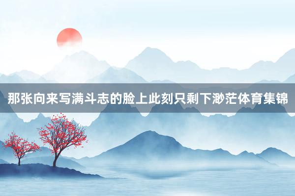那张向来写满斗志的脸上此刻只剩下渺茫体育集锦