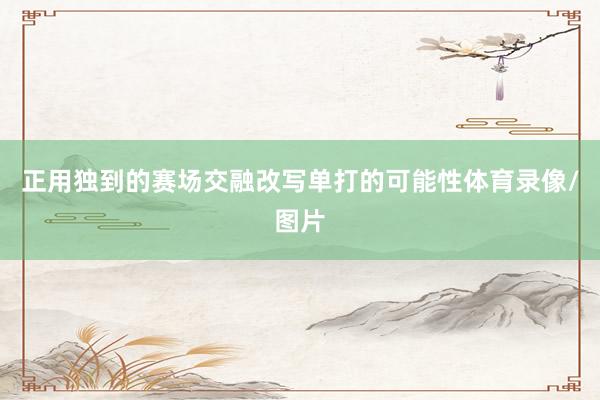 正用独到的赛场交融改写单打的可能性体育录像/图片