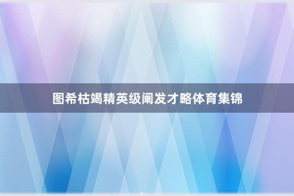 图希枯竭精英级阐发才略体育集锦