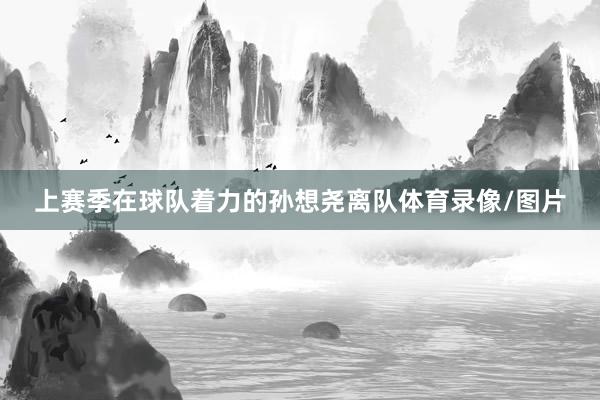 上赛季在球队着力的孙想尧离队体育录像/图片