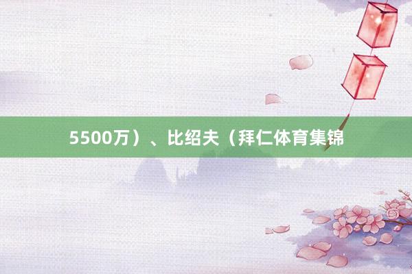 5500万）、比绍夫（拜仁体育集锦