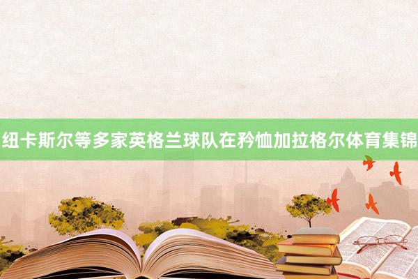 纽卡斯尔等多家英格兰球队在矜恤加拉格尔体育集锦