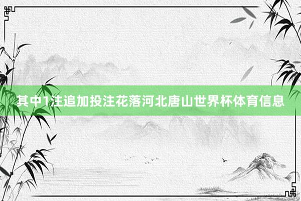 其中1注追加投注花落河北唐山世界杯体育信息