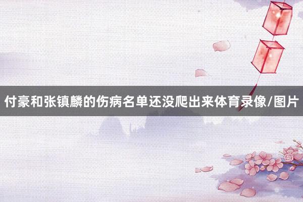 付豪和张镇麟的伤病名单还没爬出来体育录像/图片