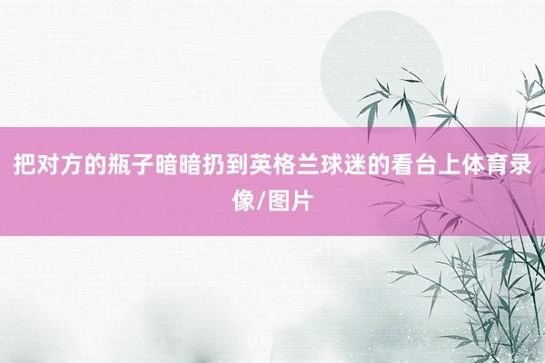 把对方的瓶子暗暗扔到英格兰球迷的看台上体育录像/图片