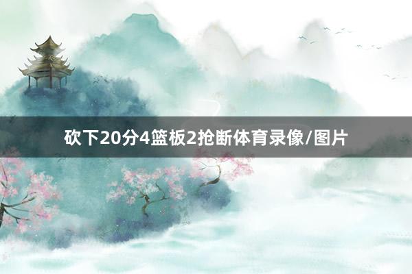 砍下20分4篮板2抢断体育录像/图片