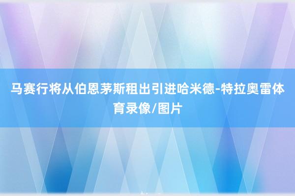 马赛行将从伯恩茅斯租出引进哈米德-特拉奥雷体育录像/图片