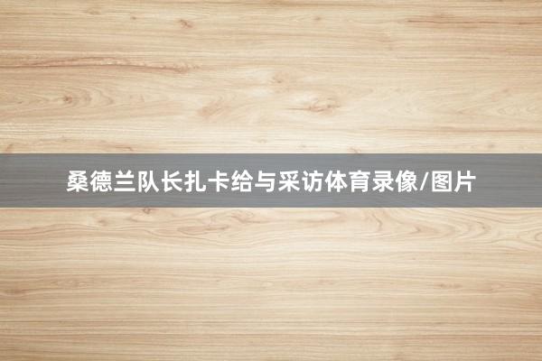 桑德兰队长扎卡给与采访体育录像/图片