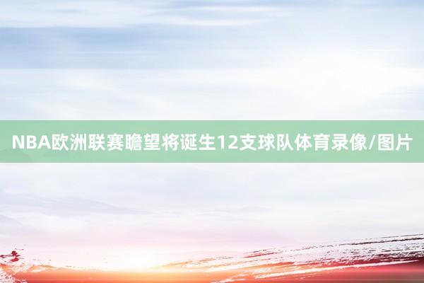 NBA欧洲联赛瞻望将诞生12支球队体育录像/图片