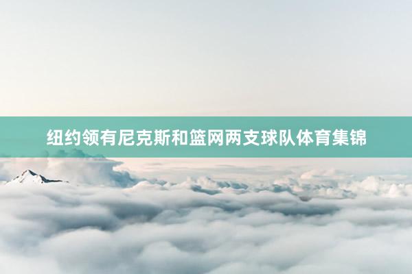 纽约领有尼克斯和篮网两支球队体育集锦