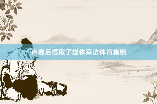 卢赛后摄取了媒体采访体育集锦