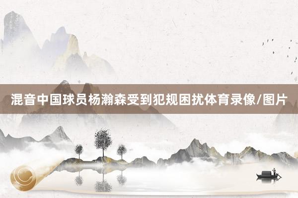 混音中国球员杨瀚森受到犯规困扰体育录像/图片