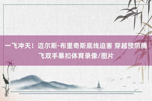 一飞冲天！迈尔斯·布里奇斯底线迫害 穿越预防腾飞双手暴扣体育录像/图片