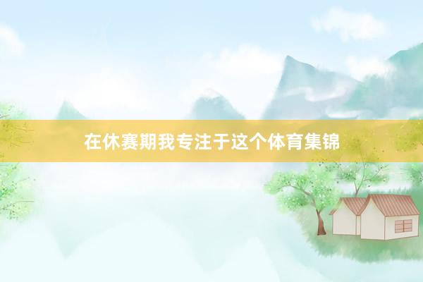 在休赛期我专注于这个体育集锦
