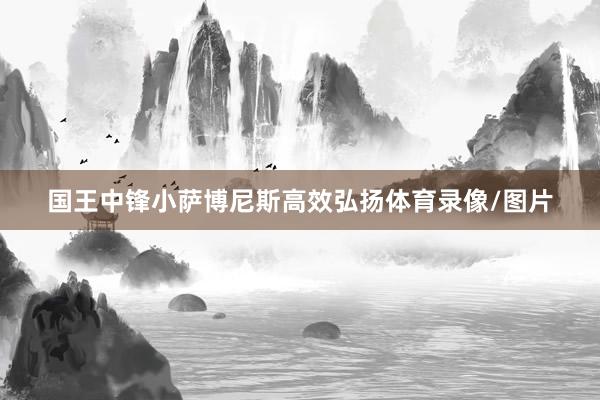 国王中锋小萨博尼斯高效弘扬体育录像/图片