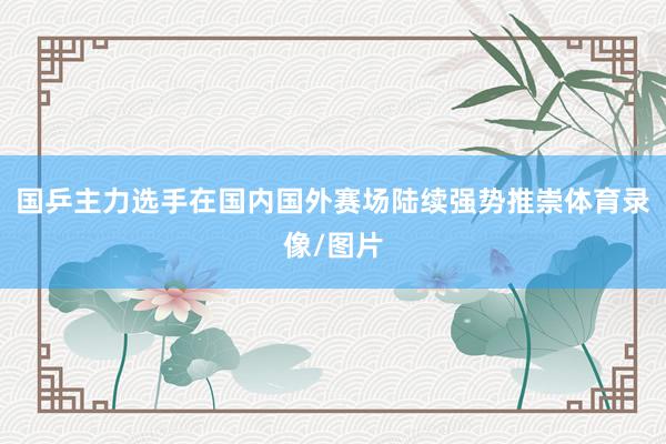 国乒主力选手在国内国外赛场陆续强势推崇体育录像/图片