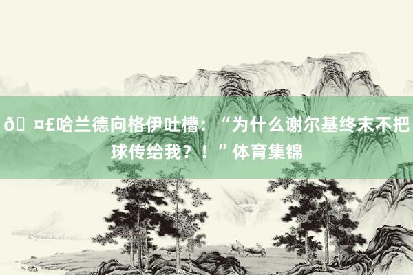 🤣哈兰德向格伊吐槽：“为什么谢尔基终末不把球传给我？！”体育集锦