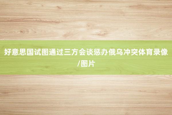 好意思国试图通过三方会谈惩办俄乌冲突体育录像/图片