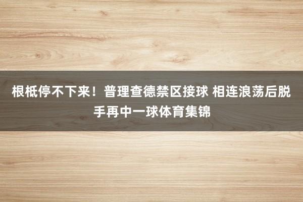 根柢停不下来！普理查德禁区接球 相连浪荡后脱手再中一球体育集锦
