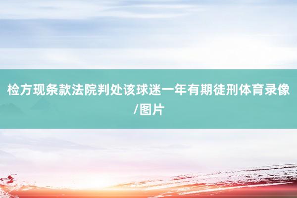检方现条款法院判处该球迷一年有期徒刑体育录像/图片