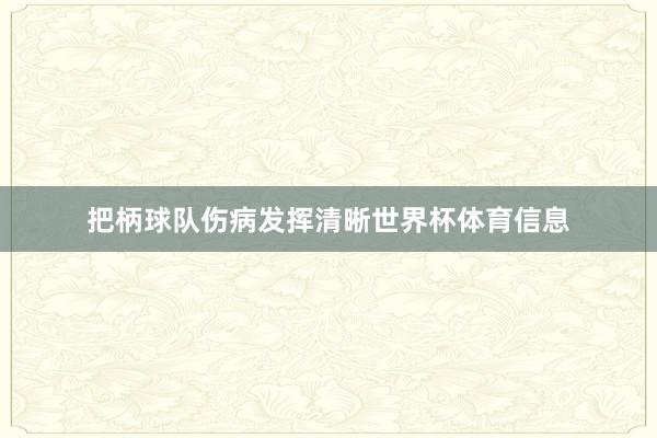 把柄球队伤病发挥清晰世界杯体育信息