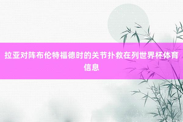 拉亚对阵布伦特福德时的关节扑救在列世界杯体育信息
