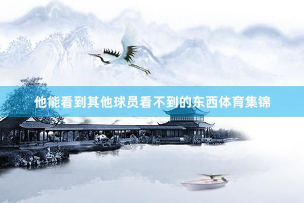 他能看到其他球员看不到的东西体育集锦