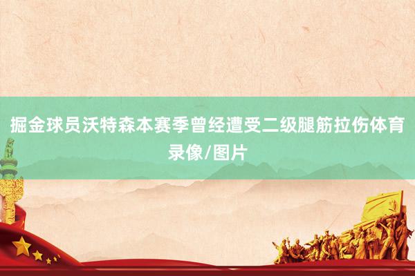 掘金球员沃特森本赛季曾经遭受二级腿筋拉伤体育录像/图片