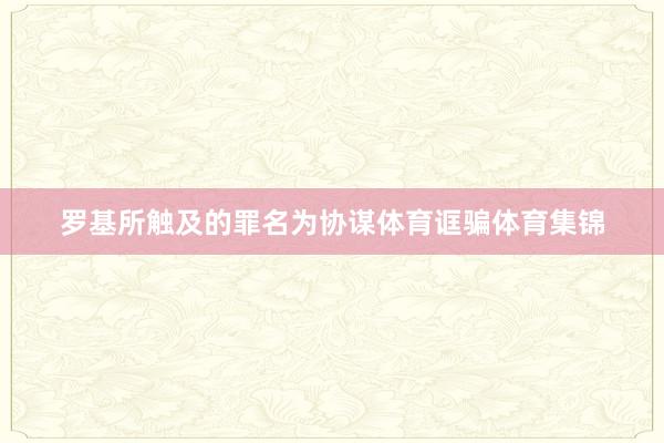 罗基所触及的罪名为协谋体育诓骗体育集锦