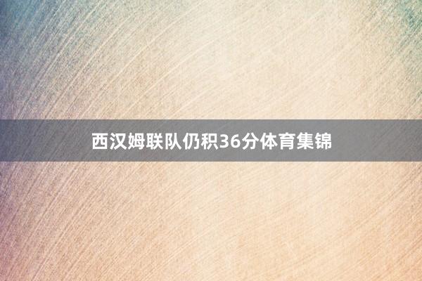 西汉姆联队仍积36分体育集锦