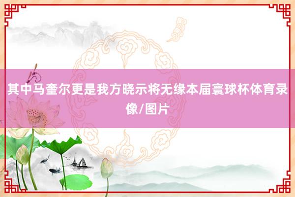 其中马奎尔更是我方晓示将无缘本届寰球杯体育录像/图片