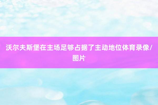 沃尔夫斯堡在主场足够占据了主动地位体育录像/图片