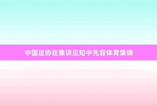 中国足协在集训见知中先容体育集锦