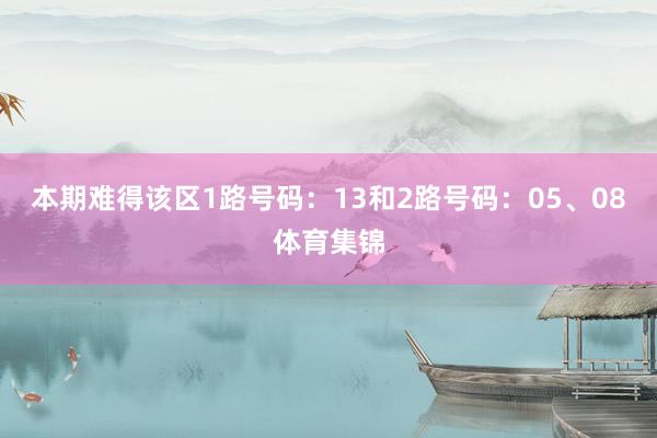 本期难得该区1路号码：13和2路号码：05、08体育集锦