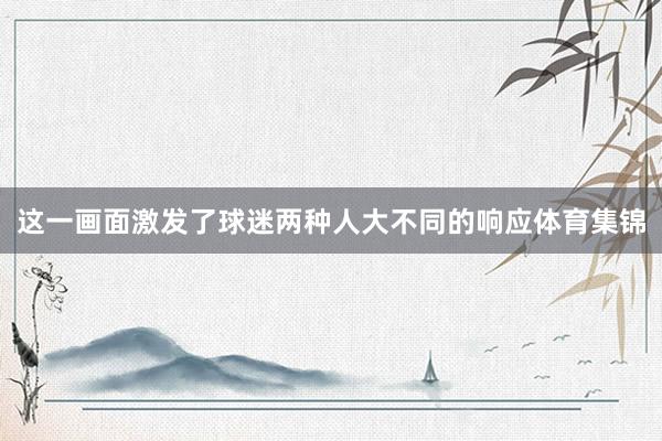 这一画面激发了球迷两种人大不同的响应体育集锦