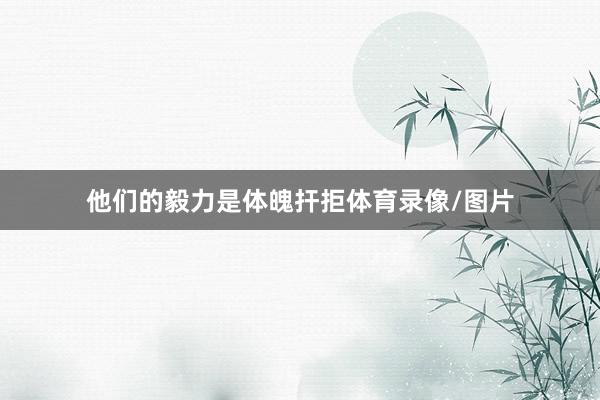 他们的毅力是体魄扞拒体育录像/图片