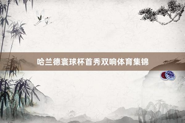 哈兰德寰球杯首秀双响体育集锦