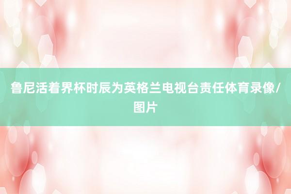 鲁尼活着界杯时辰为英格兰电视台责任体育录像/图片
